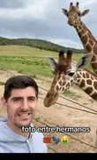 dylan misael