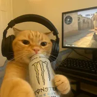 ᴢɪᴏɴ