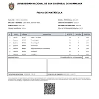 El coronavirus