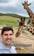 dylan misael