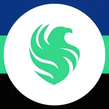 TEAM FALCONS