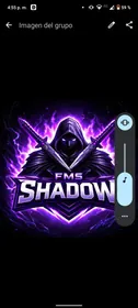 Logo de FMS INSFRAN en DayzelCorp Esports