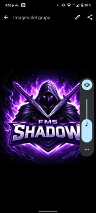 Logo del equipo FMS INSFRAN