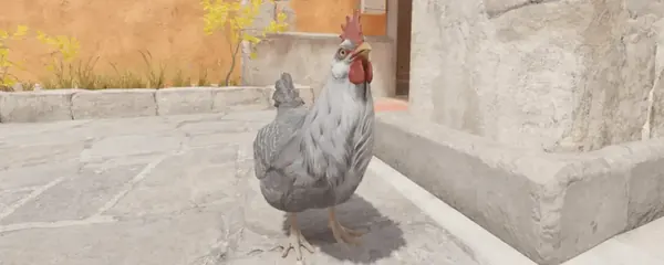 Mascotas de Pollos en CS2: Huevo o Caja, Horario de Alimentación y Guía Completa