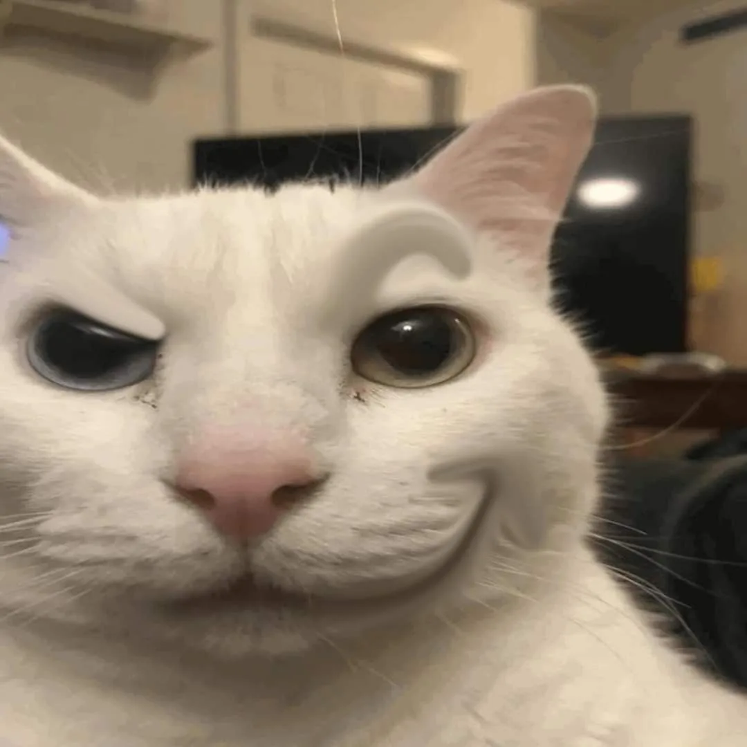 Rodryx