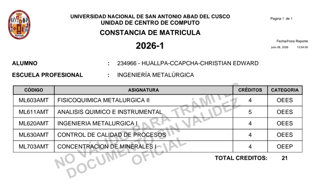 Usuario