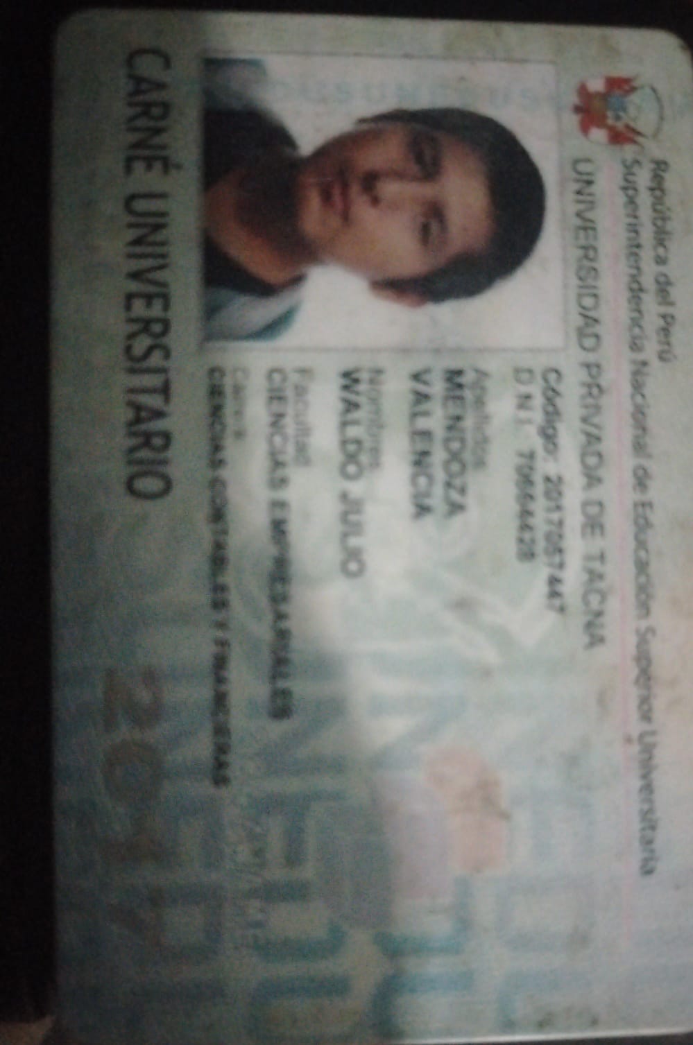 Chucho~374
